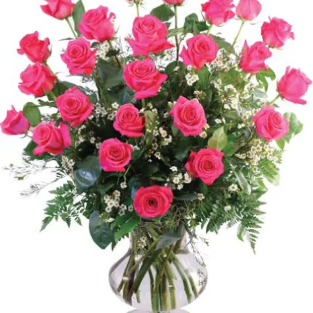 Two Dozen Pink Roses