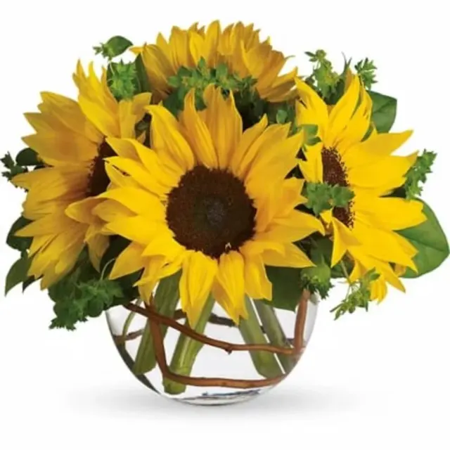 Sunny Sunflowers