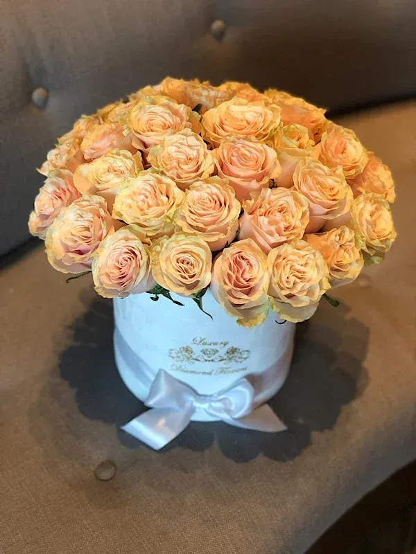 Roses in box 3 dozen regular fresh cut