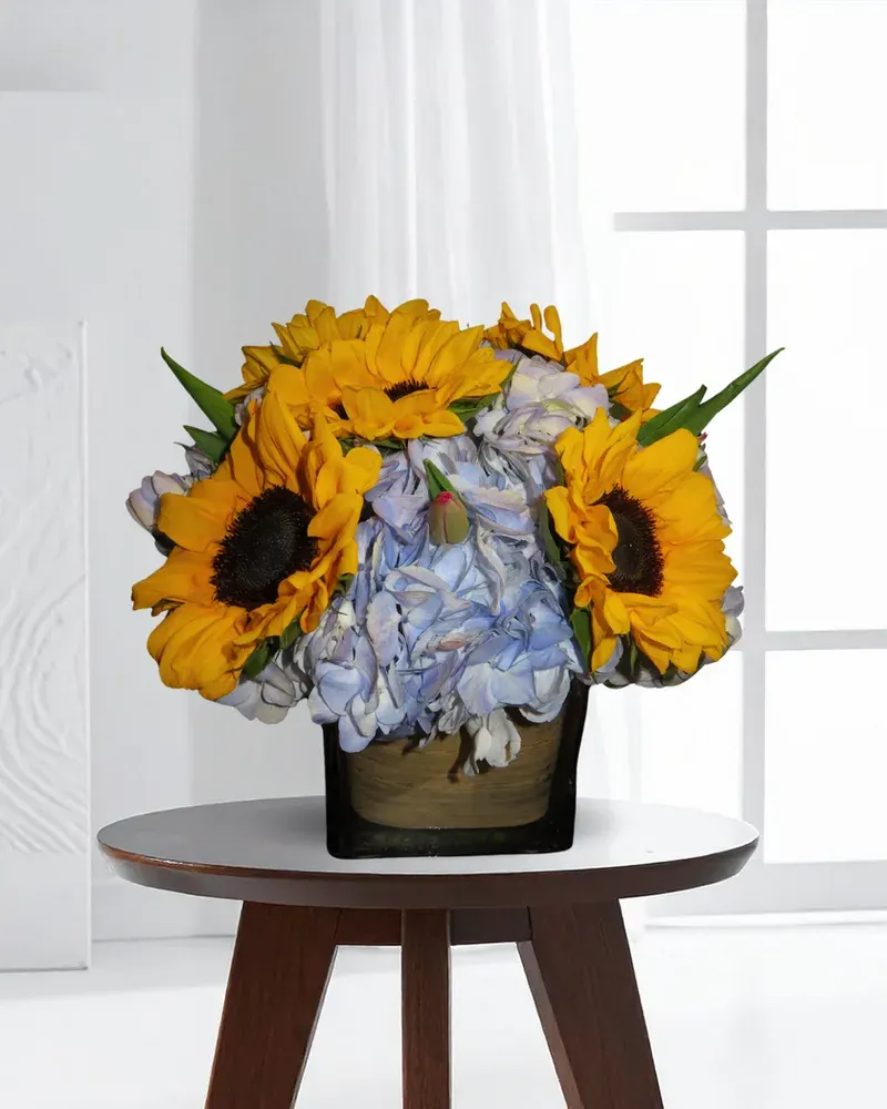 Sunflower Dream