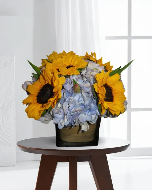 Sunflower Dream
