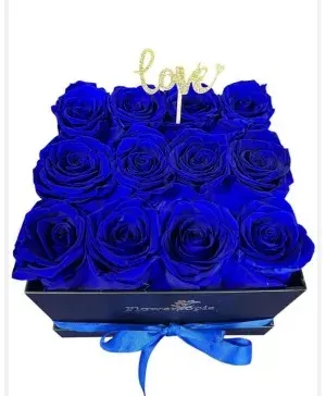 12 Preserved Blue Roses
