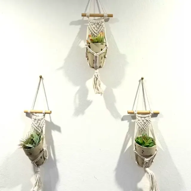 3 succulents with hanger