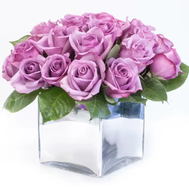 Full and Low Lavender Roses