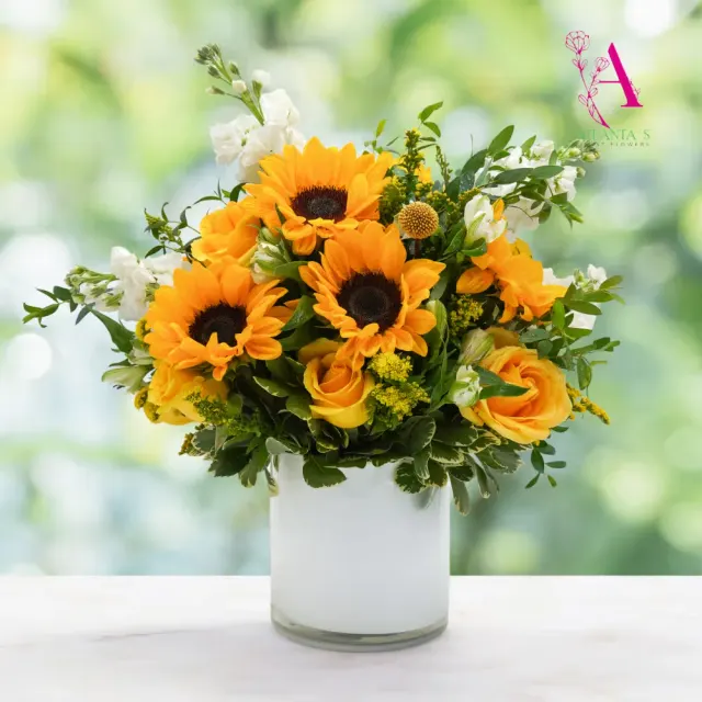 Warm Sunflowers