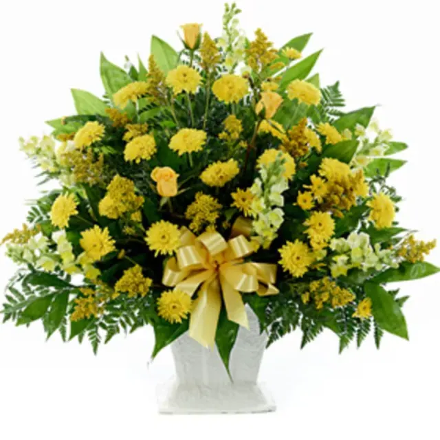 Classic Yellow