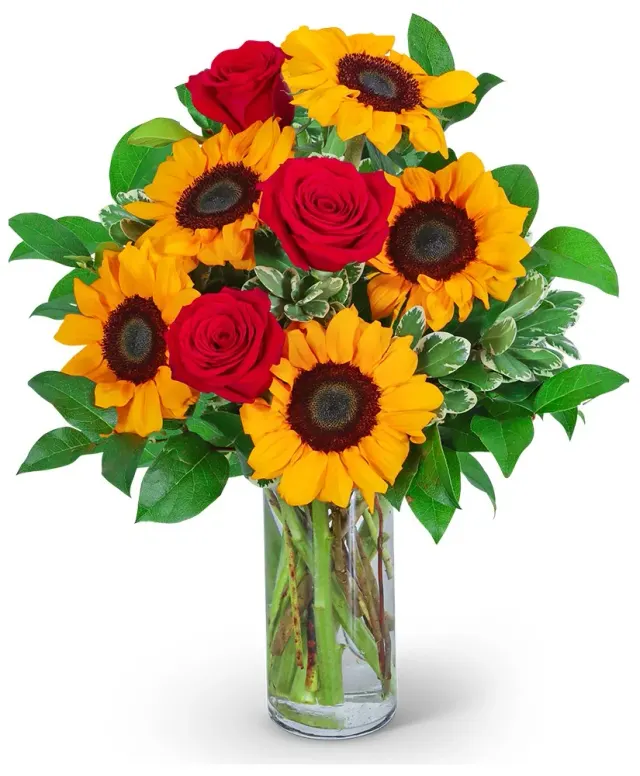 Rosy Sunflowers