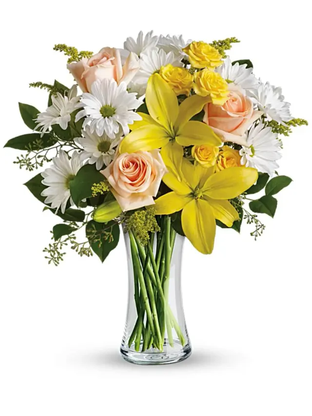 Daisies and Sunbeams