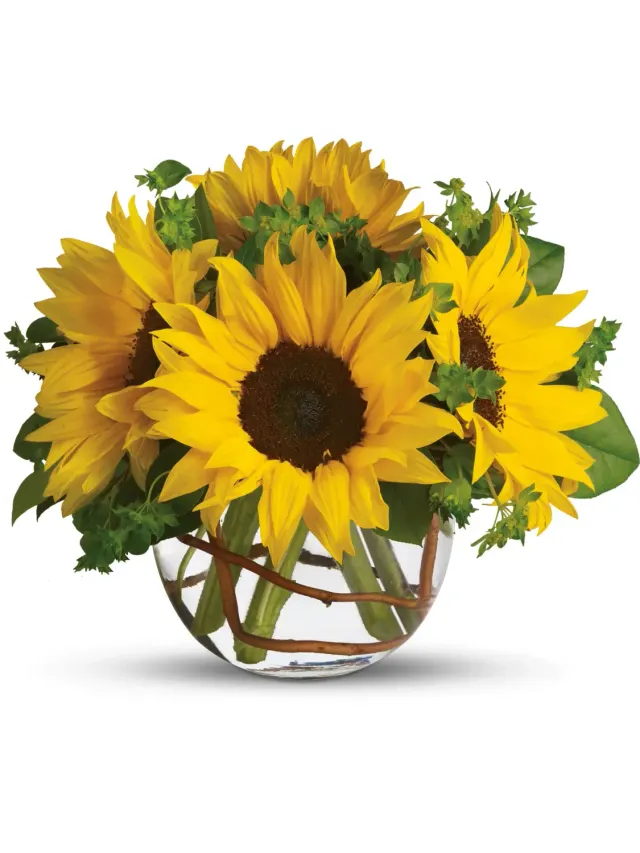 Sunny Sunflowers