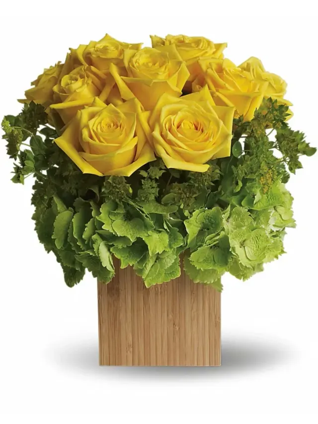 Box of Sunshine
