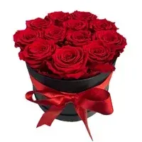 Deluxe Gift Box: 12 Red Preserved Roses in a Luxury Box