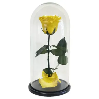 Dome Taurus: Preserved Yellow Rose & Glass Dome