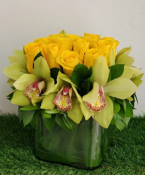 Rose Cymbidium Green Yellow