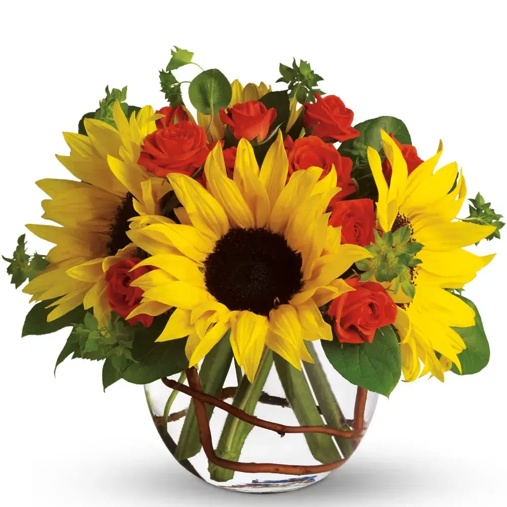 Sunniest Sunflowers