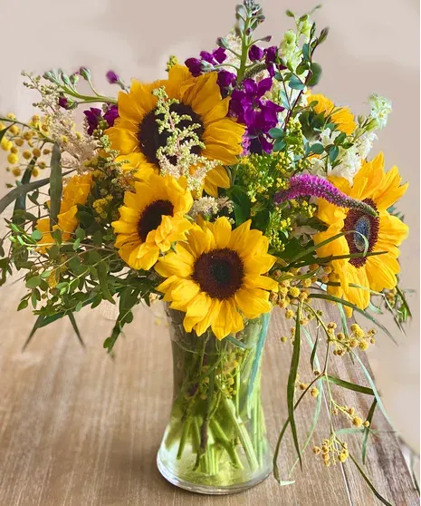 Sunshine Sunflower