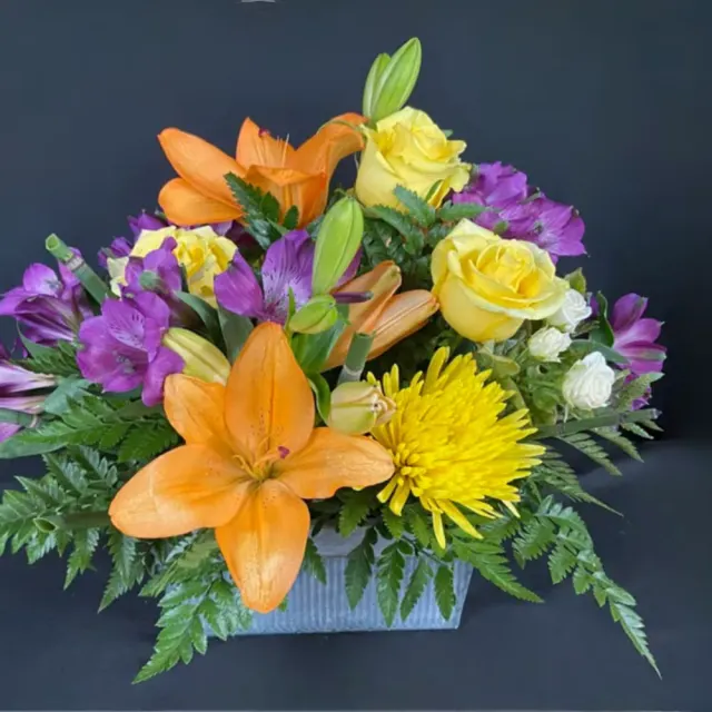 Box of Spring