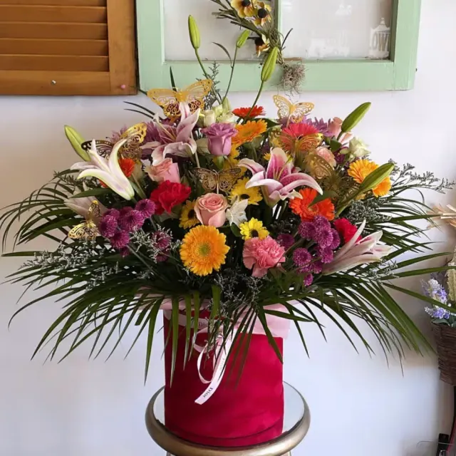 Colorful Box Arrangment