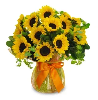 Sunflower Abundance