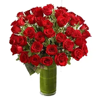 ROSES -4 DOZEN Long Stem Premium