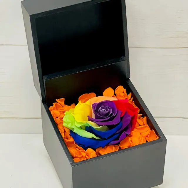 New Item: Real Preserved Rose Box (Rainbow)
