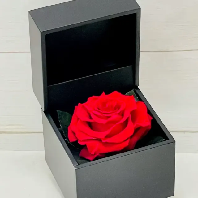 Real Preserved Rose Box (Red)
