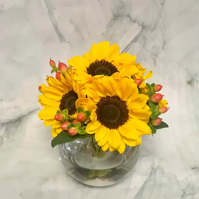 Sensational Sunflowers