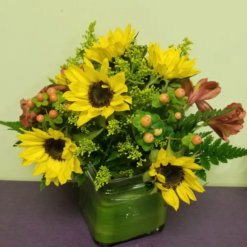 Field of Sunflowers