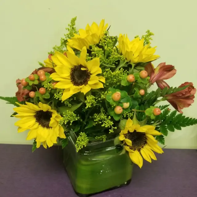 Field of Sunflowers