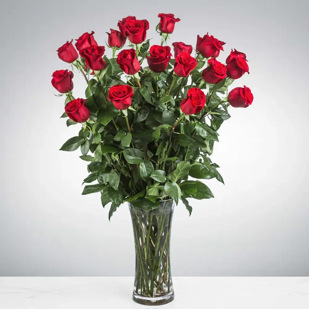 Two Dozen Long Stemmed Red Roses