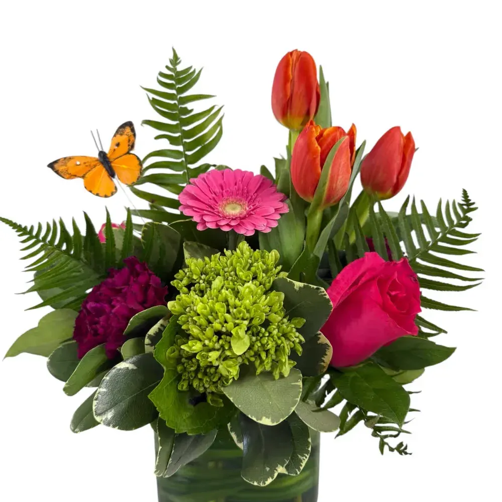 Tropicana Arrangement