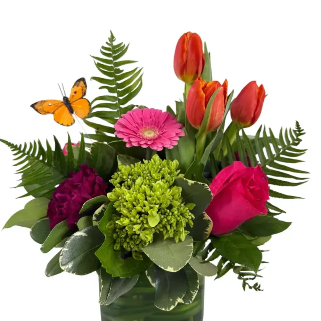 Tropicana Arrangement