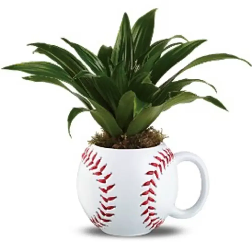 Baseball II-LOCAL DELIVERY ONLY
