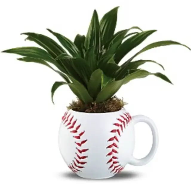 Baseball II-LOCAL DELIVERY ONLY