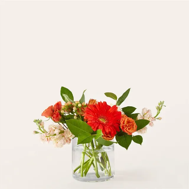 Paloma Please Bouquet