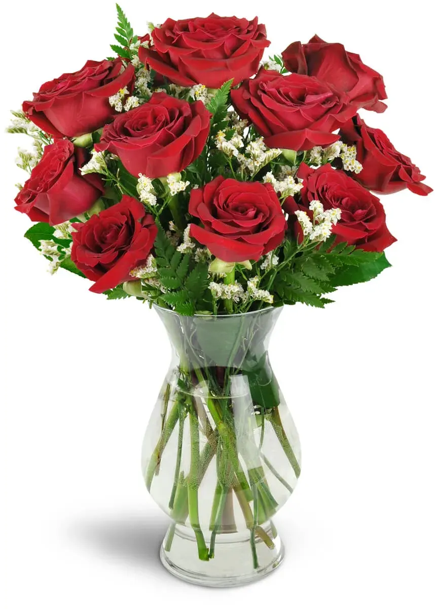 Devoted to You Red Roses