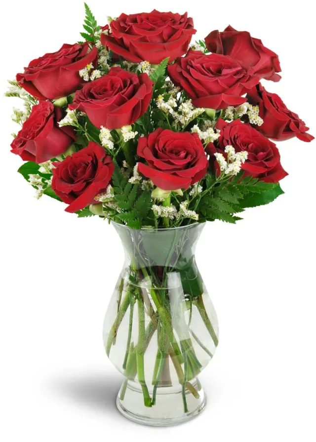 Devoted to You Red Roses