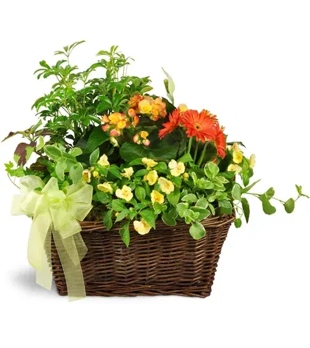 Springtime Sympathies Garden Basket