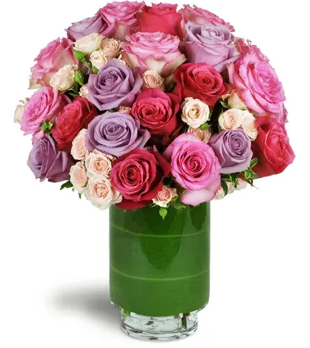 Sweetest Roses