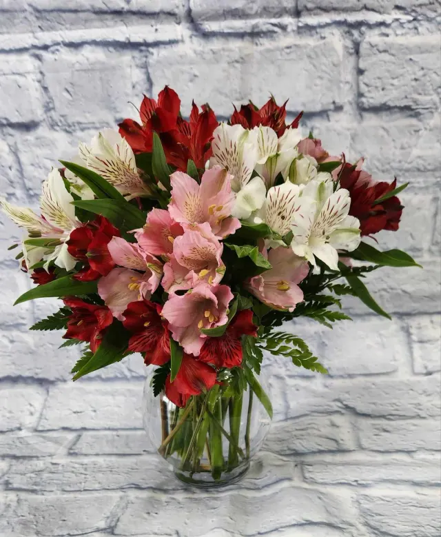 Love Alstromeria Lilies