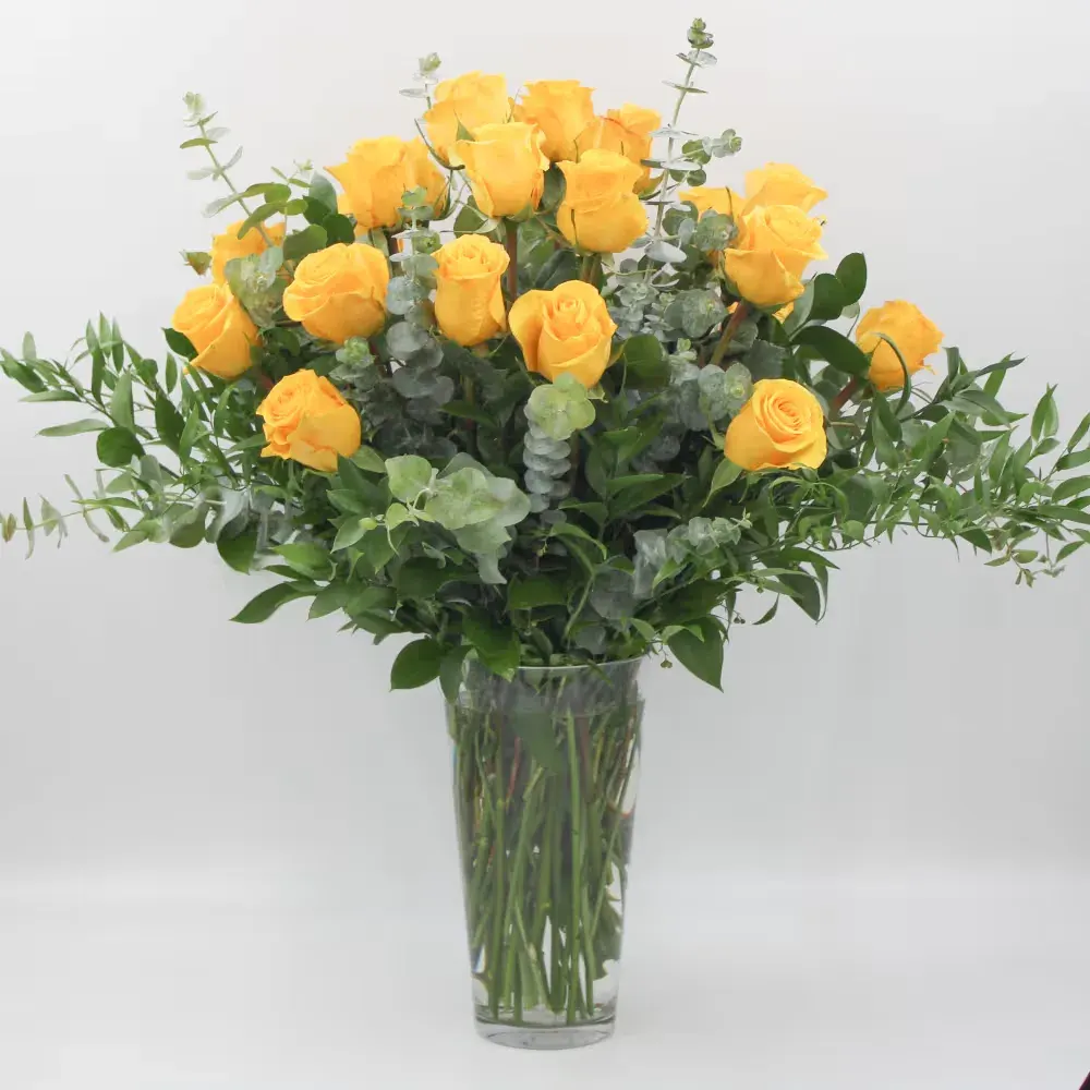 Two Dozen Yellow