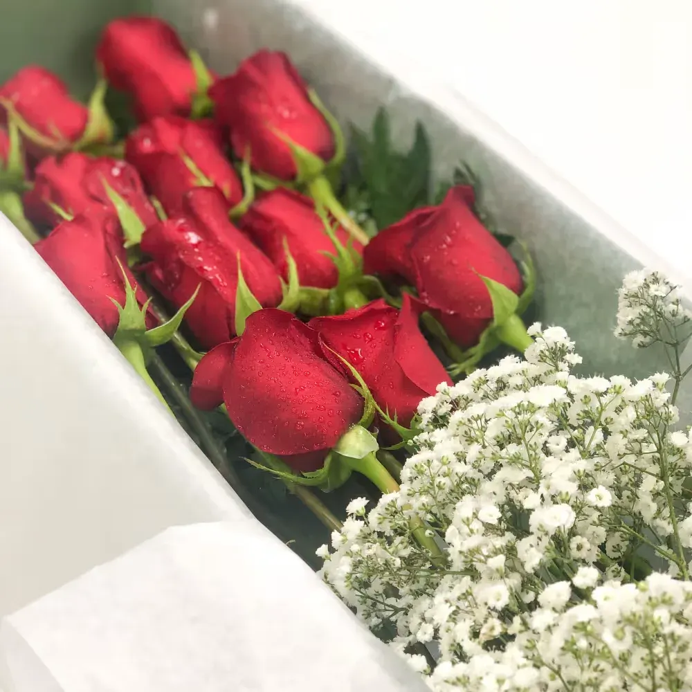 Dozen Red Roses Boxed