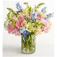Delphinium Meadow
