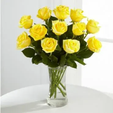 Dozen Yellow Roses
