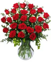 Two Dozen Roses Arranged