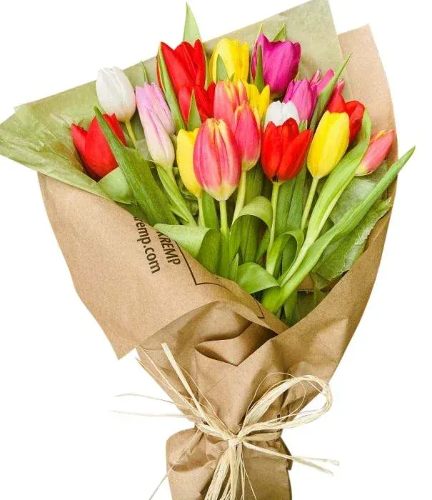 Springy Tulips (Wrapped)