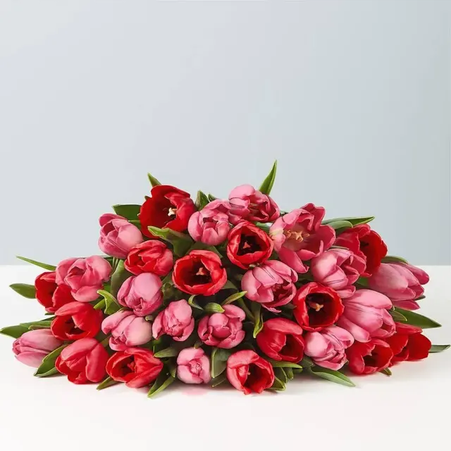 Romantic Tulips (Wrapped)