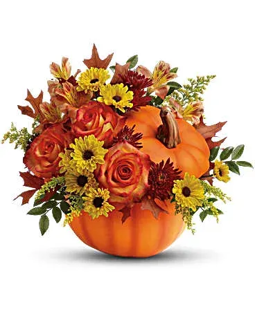 Warm Fall Wishes