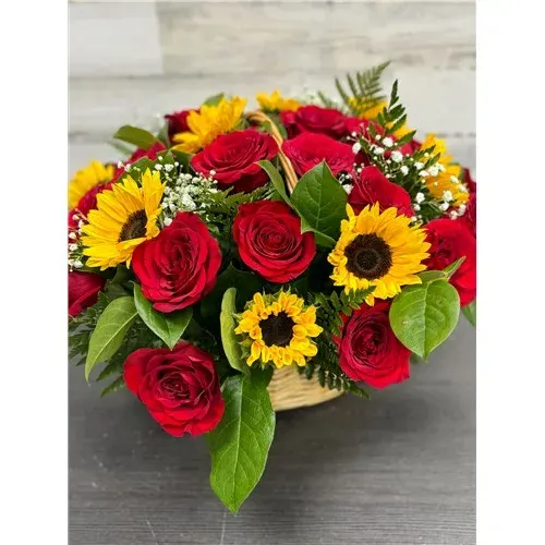 Sunflower Extravaganza