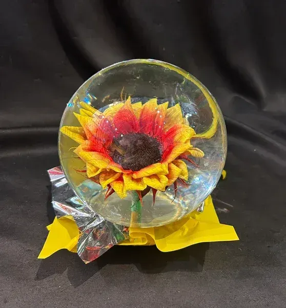 Sunflower in a Globe