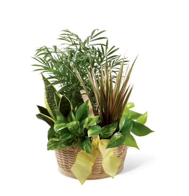 The FTD French Garden